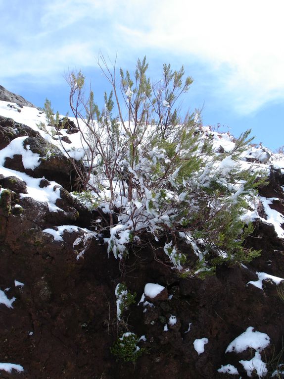 Neige à Madère en Mars 2011 - Episode rare sur cette île.