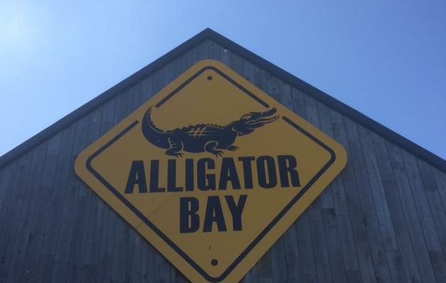 Alligator Bay Bretagne 
