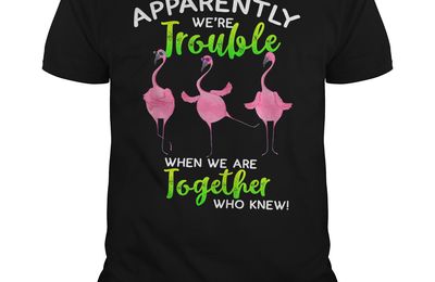 Flamingo apparently trouble when we are together who knew shirt