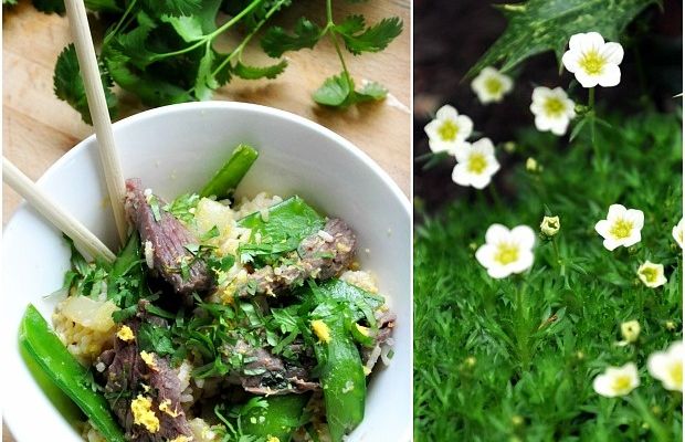 Riz sauté à la hampe de boeuf caramélisée et légumes verts