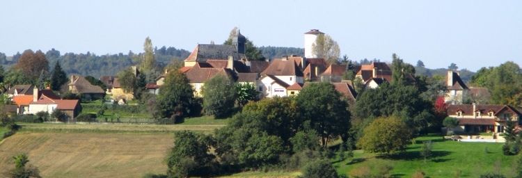 Les vignes donnent leurs derniers feux