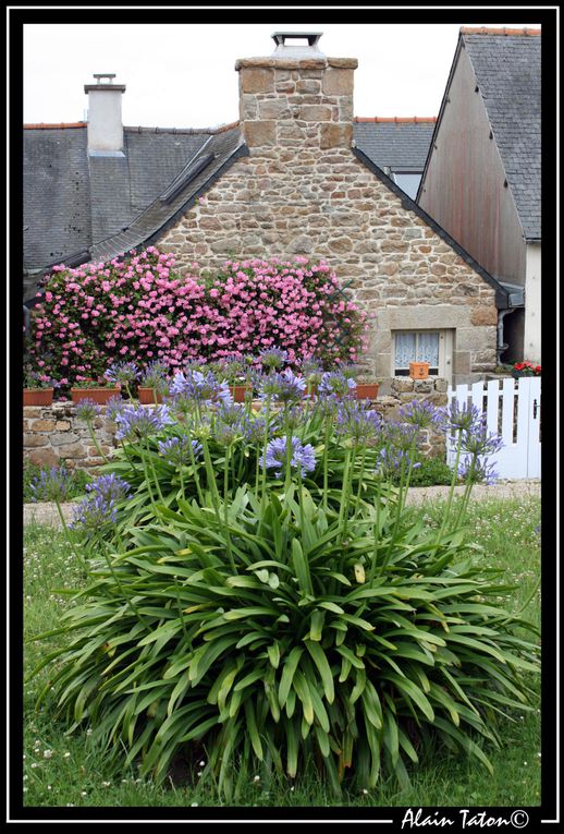 Album - île-de-Bréhat