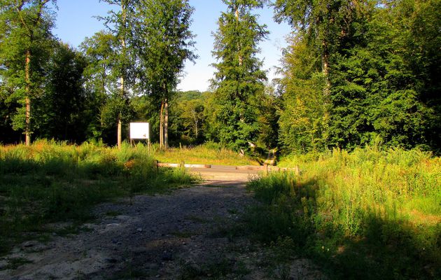 carrefour_Route Tournante sous le Mont Saint-Mard_Route de la Bourdelotte