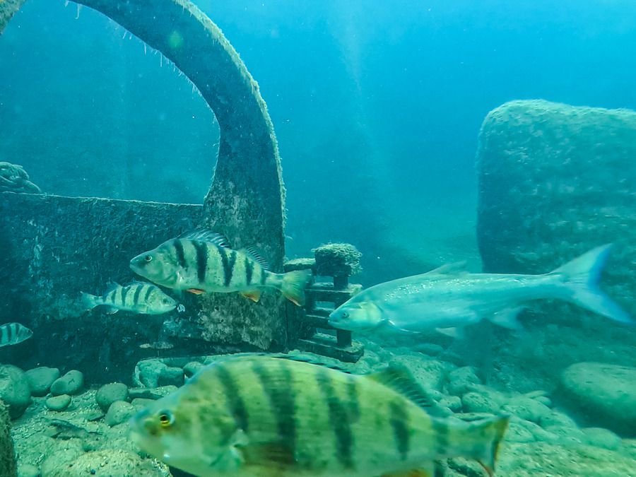 Grand Aquarium de Touraine et Rando