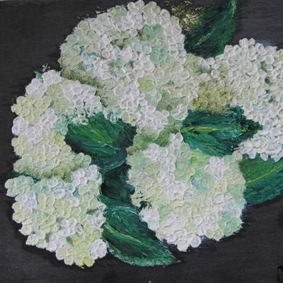 Hydrangeas