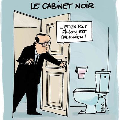 Le cabinet est au fond à gauche mais il n'est pas noir.