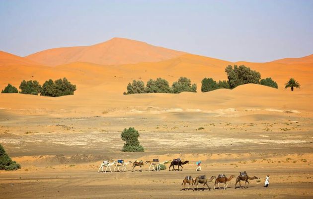 Fes to Merzouga Desert Tours