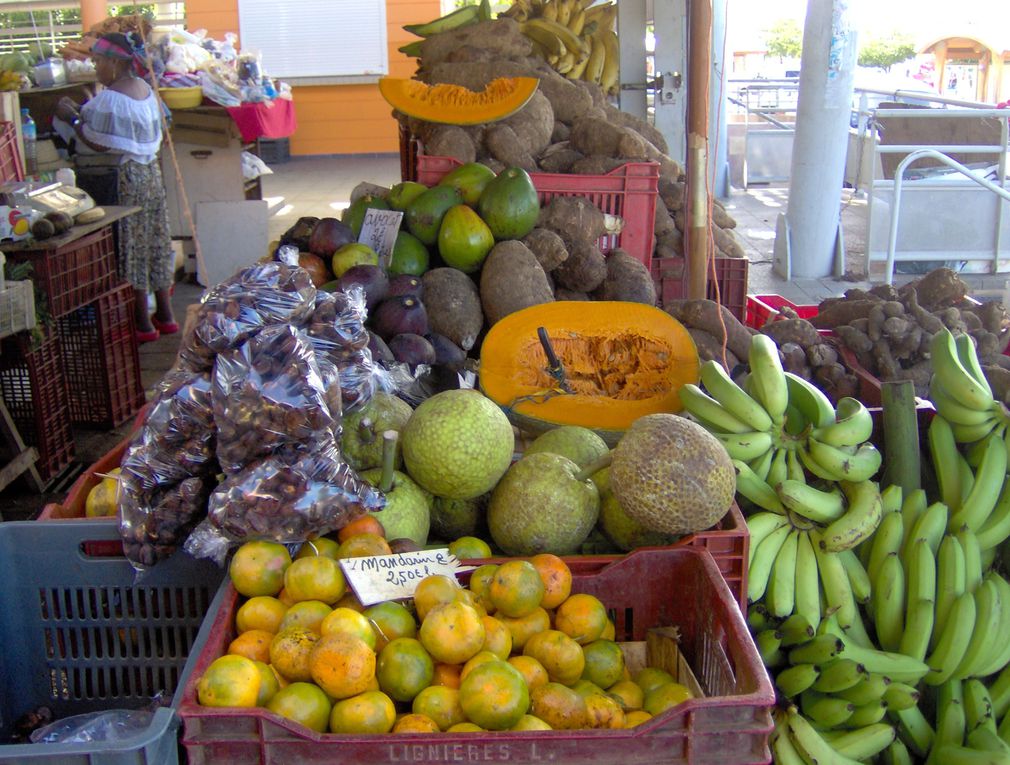 Séjour en Guadeloupe du 06 au 16/12/2009