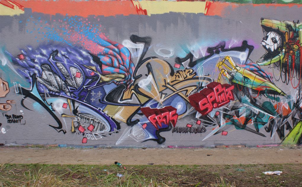 Album - Graffitis-IVRY-sur-Seine-Tom-013