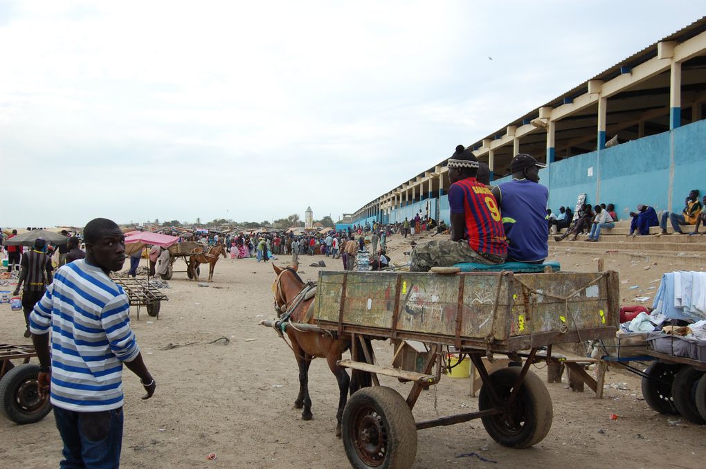 L'album de notre voyage au Sénégal en janvier 2014, le premier mais nous espérons qu'il y en aura d'autres tant ce pays est attachant.