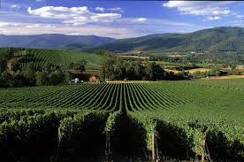 #Grenache Producers West Australia Vineyards 