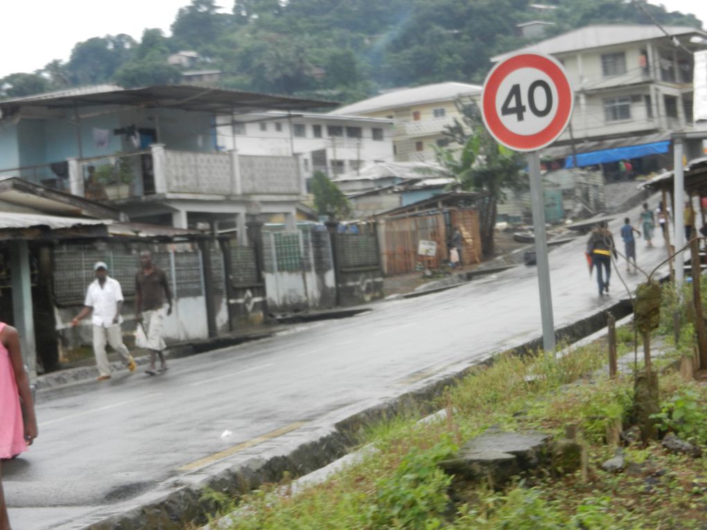 Limbé et ses plages, son parc botanique, son centre de la faune, son activité. Buea base pour le Mont Cameroun et le pont M'Fundi base pour le Nigeria