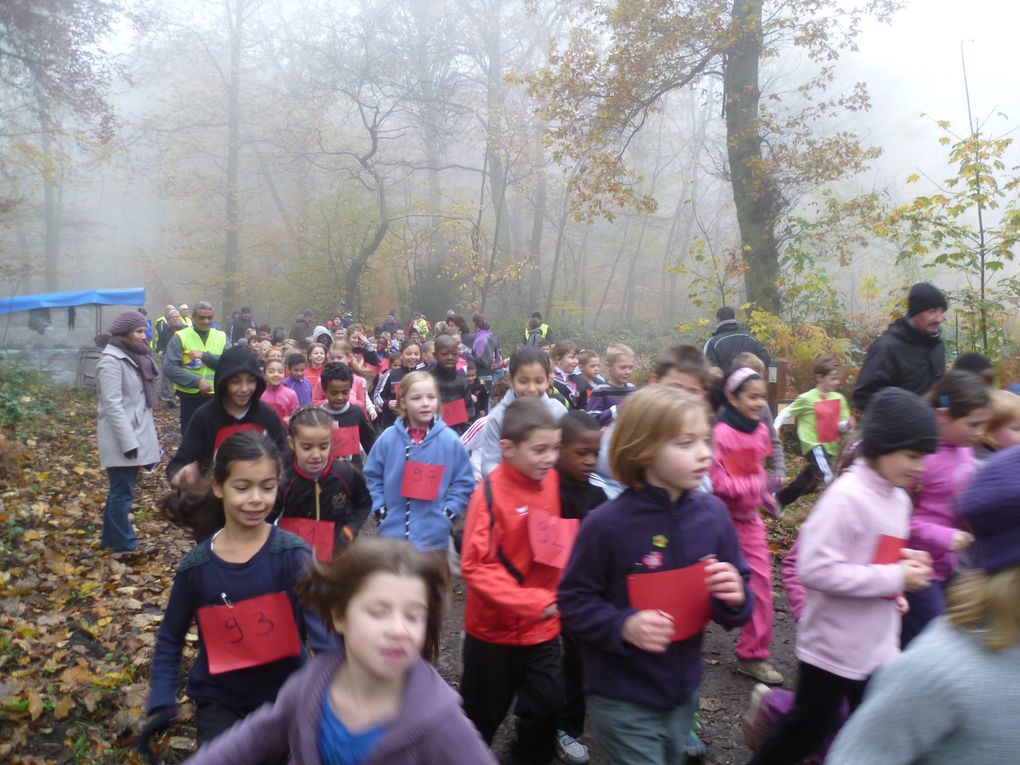 Les CE2, CM1 et CM2 de Brossolette ont participé au cross organisé par l'Office Municipal des Sports en forêt des Essarts