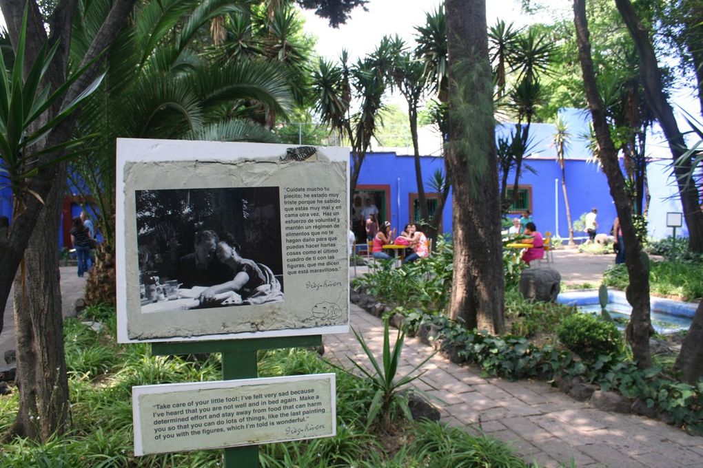 Musée Diego Rivera Anahuacalli et de la Maison Bleue "Casa Azul" de Frida Kahlo.
Peintre mexicain connu pour ses fresques murales principalement, Diego Rivera a laissé une oeuvre personnelle inachevée dans son musée Anahuacalli. En 1940, Frida et