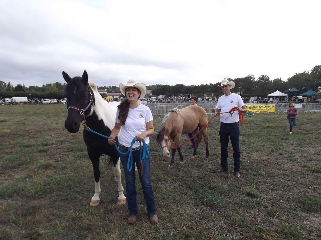 SOUVENIRS DE LA FETE DU CHEVAL A VENTENAC CABARDES SEPTEMBRE 2015: