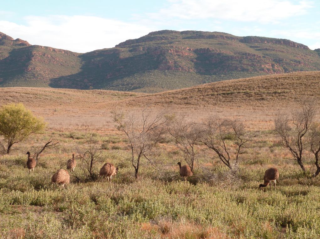 Album - 38 Outbacktrip von Prot Augsta nach Alice Springs - Teil 1