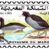 timbres-oiseaux