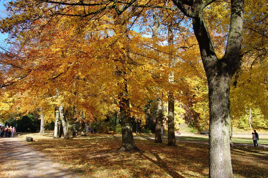 Album - Heidelberg_Herbst_2010