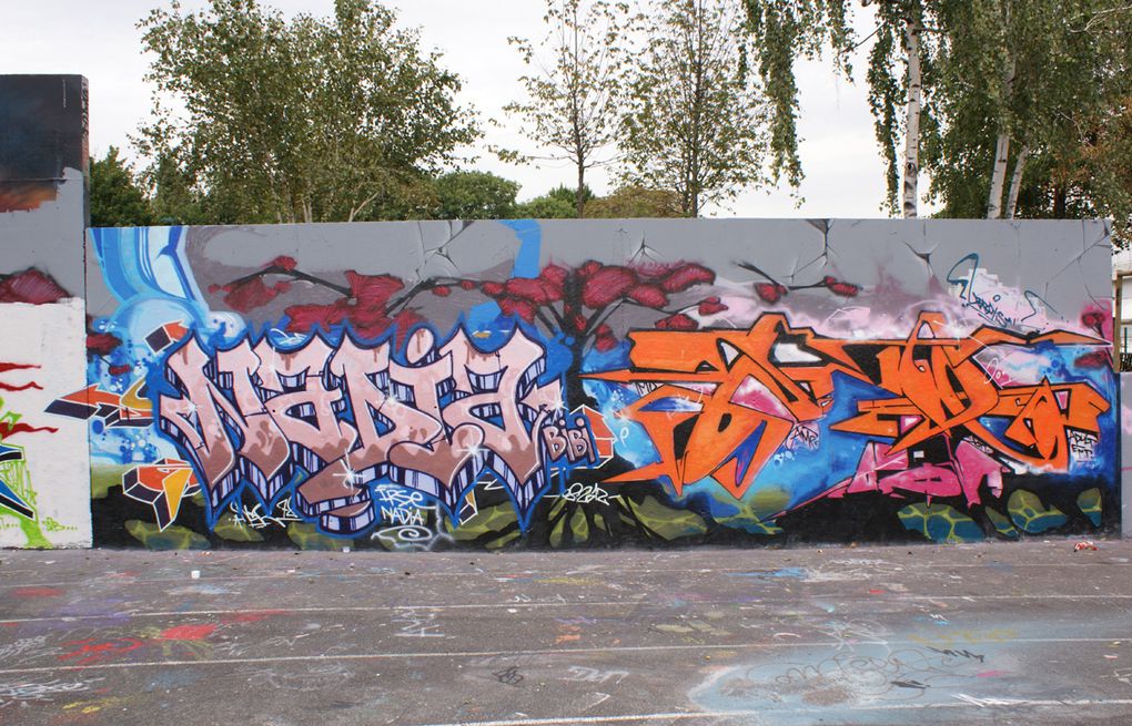 Album - Graffitis-IVRY-sur-Seine-Tom-012