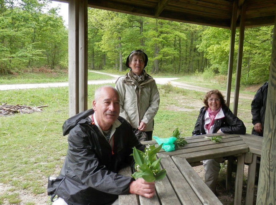 Le 1er Mai dans la forêt de Malvoisine