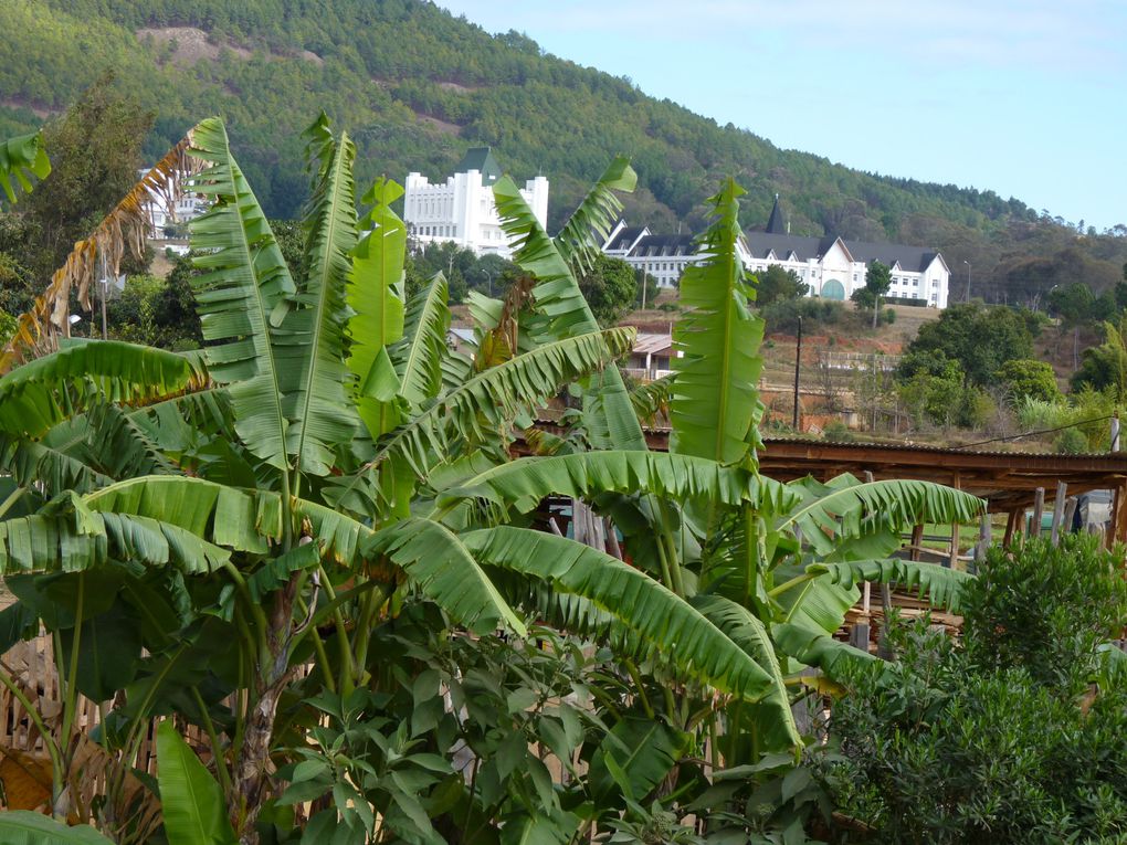 Première étape lors de notre périple le long de la fameuse RN7: Tana et la région des Hauts Plateaux