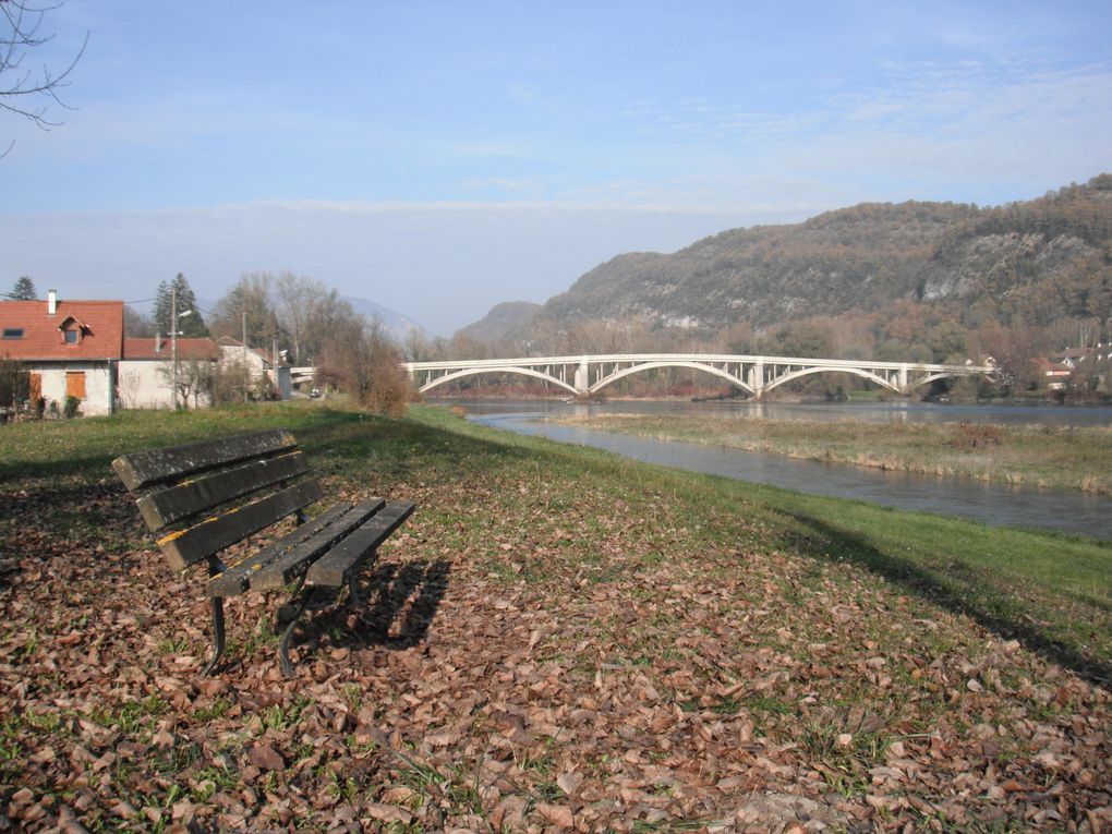 Des images du Rhône en automne/hiver, des ombres, des truites, et des paysages