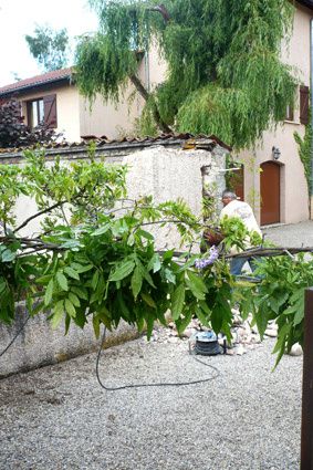 Les Travaux commencent !!
Détruire pour mieux construire ...
Toutes nos photos du terrassement et des fondations