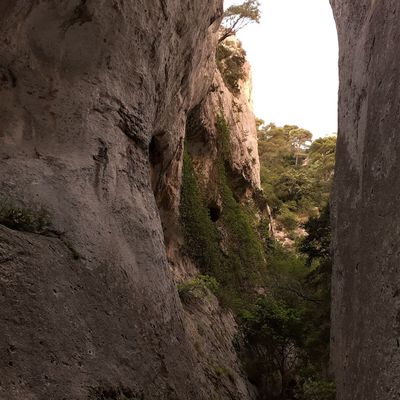 Dans les gorges de Régalon (84)