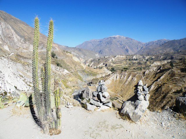 Album - Colca-Condor