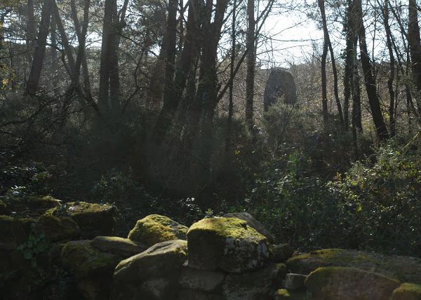 La Trinité sur mer le 1er Avril