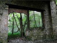 Une usine en ruine... (10 photos)