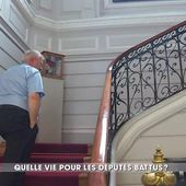 Députés sortants : la vie après l'Assemblée