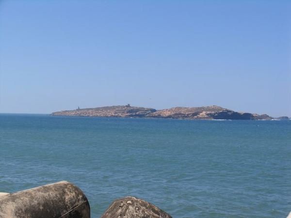 quelques 106 photos d'Essaouira, de son port, de ses mouettes et de ses chats plus ou moins mités