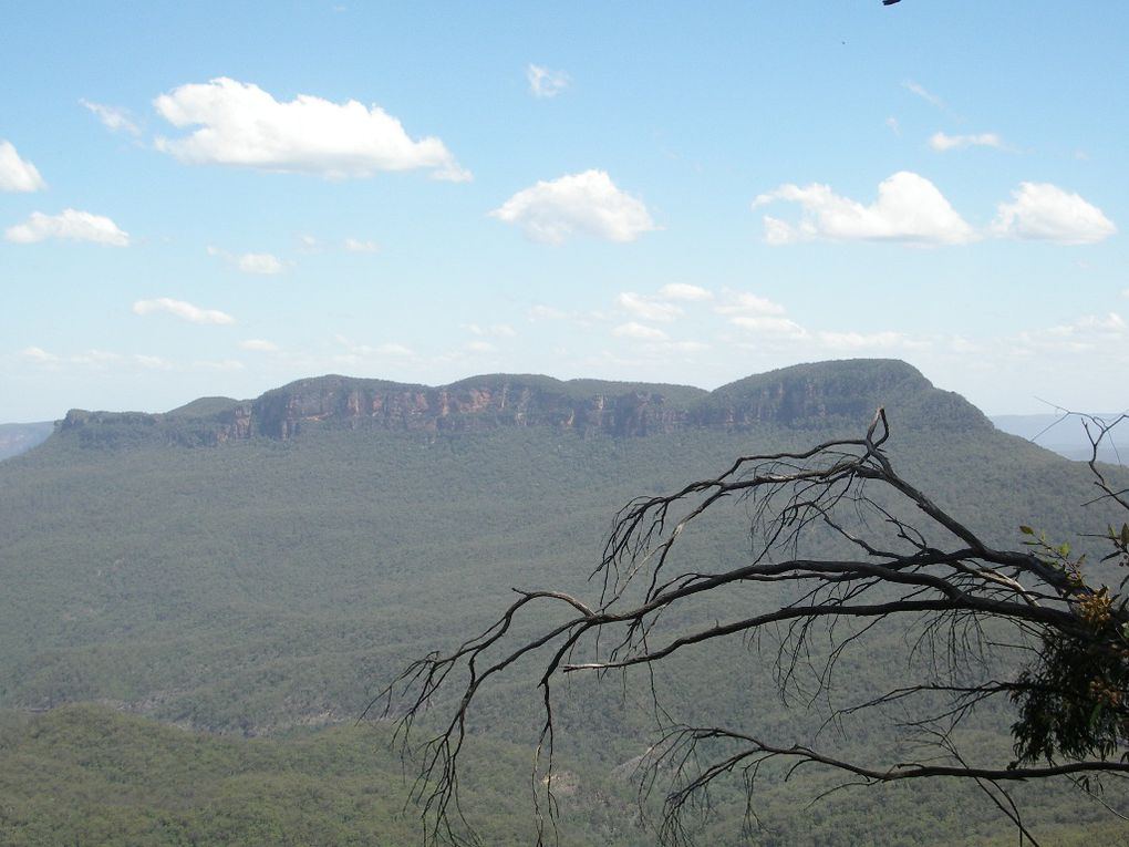 Album - The-Ultimate-Oz-Experience---Sydney + Blue Mountains