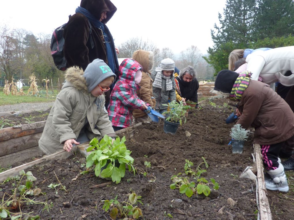 gardening