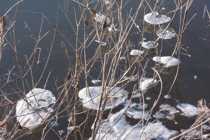 Coup de froid sur la Loire