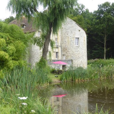 Randonnée de Bouffémont à Taverny. 15,8 km.