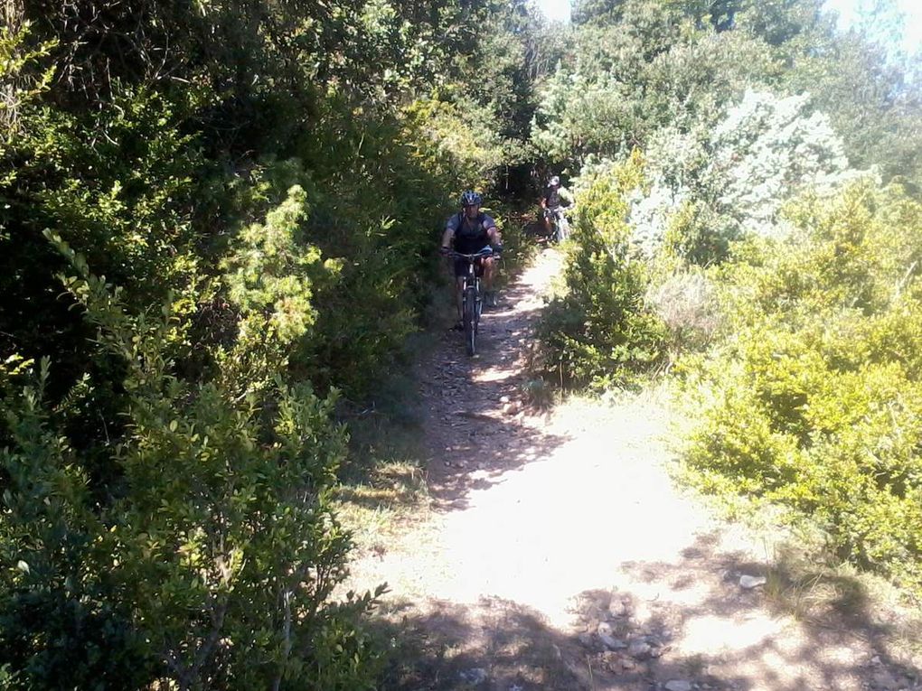 DIMANCHE 17/08/2014 :GALAMUS