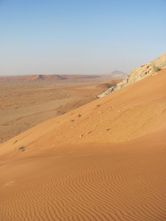 Quelques photos de nos escapades dans le désert autour de Dubaï