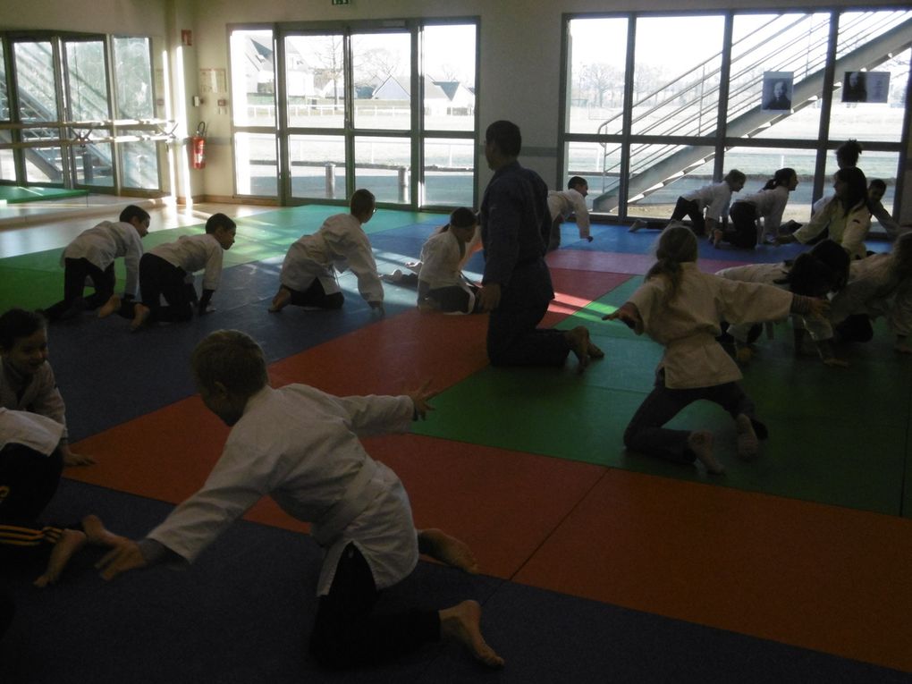 Judo (suite)