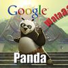 Google Panda est arrivé...