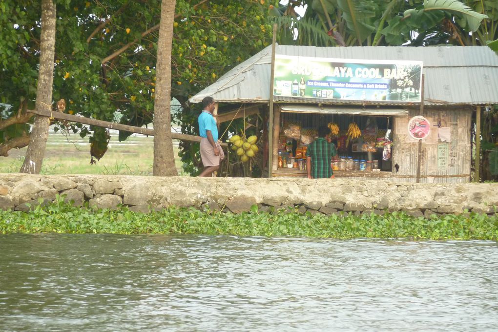 Des photos principalement des backwaters. J'espère que ca ne vous "saoulera" pas trop. Nous c'est notre partie préférée du voyage.