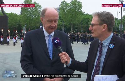 Yves de Gaulle évoque l'héritage de son grand-père - Edition spéciale : la France accueille la flamme | TF1