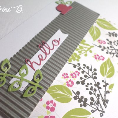 Défi 573 de Passion Cartes Créatives