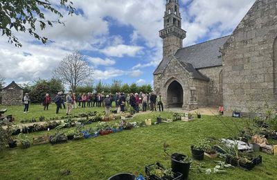 Bourse aux plantes de la Société d'Horticulture du Bas-Léon (SHBL) à la chapelle de Landouzen au Drennec