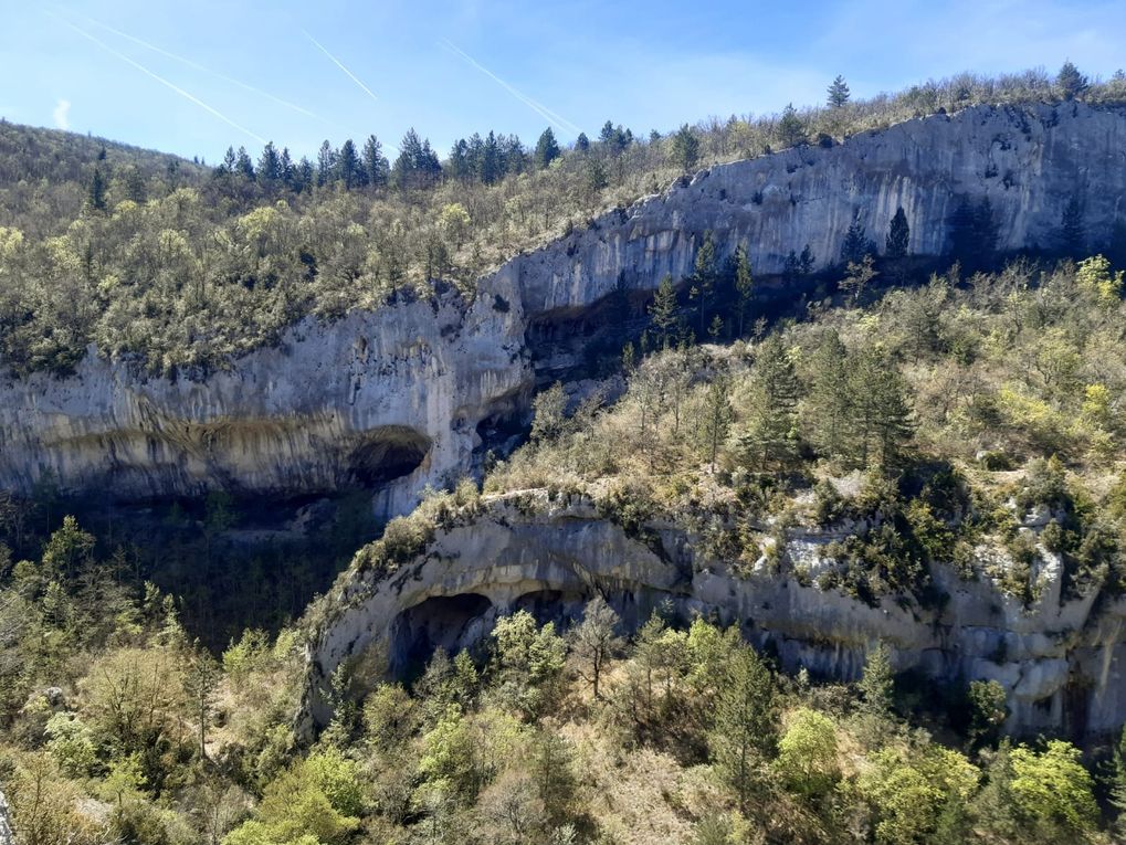 Mercredi 26 avril 2023 : Gorges de la Nesque
