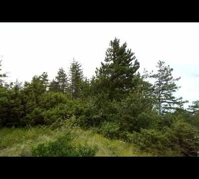 Enfin au sommet après avoir bien fait la chèvre ! Et maintenant... retrouver un chemin...