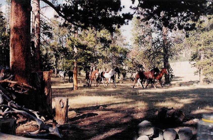 Album - Lazy L&amp;B Ranch, Wyoming