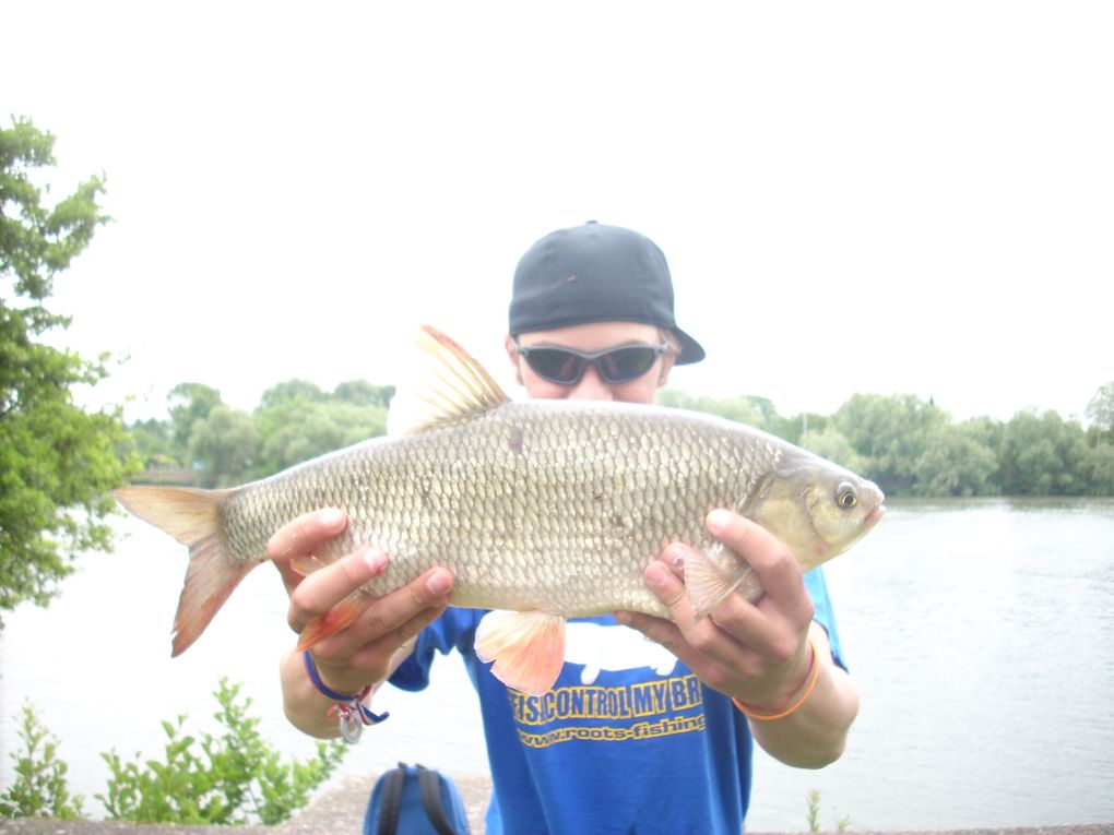 2012 est déja commencer et les fish ne tardent pas à montrer leurs nageoires