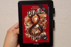 Avis Lecture - Blood and Honey - Tome 2 - Shelby Mahurin